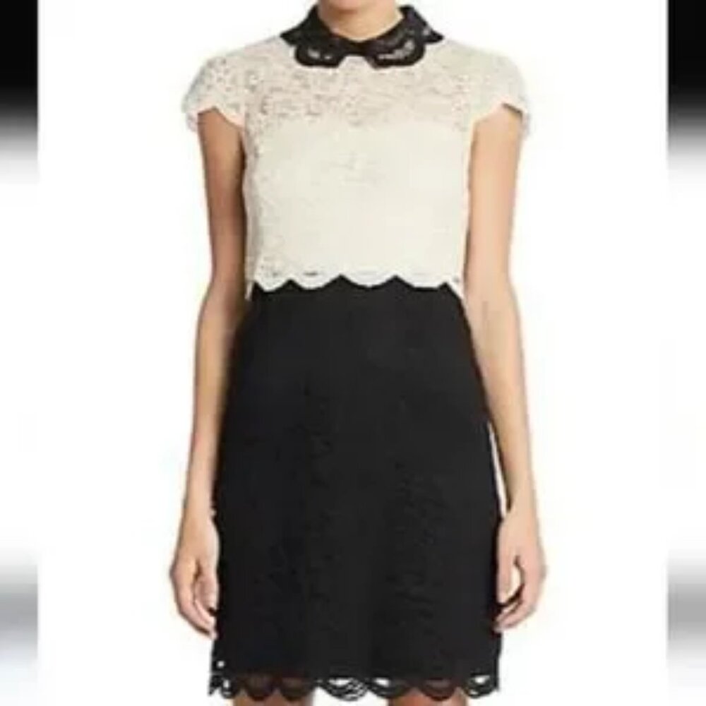 Betsey Johnson White and Black Lace Oxford/Schoolgirl/Office Dress Size 8